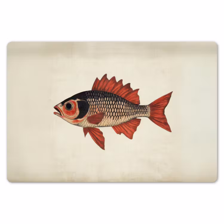Placemat - 6 stuks - Schubben - Rood - Vis - Vinnen — 7