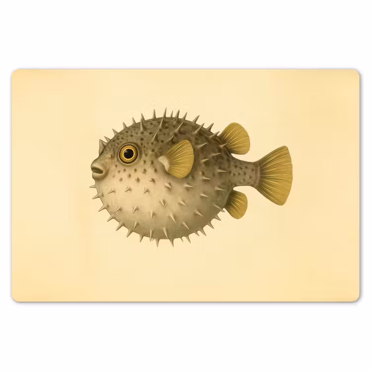 Placemat - 6 stuks - Stekels - Vis - Opgeblazen - Bruin — 7