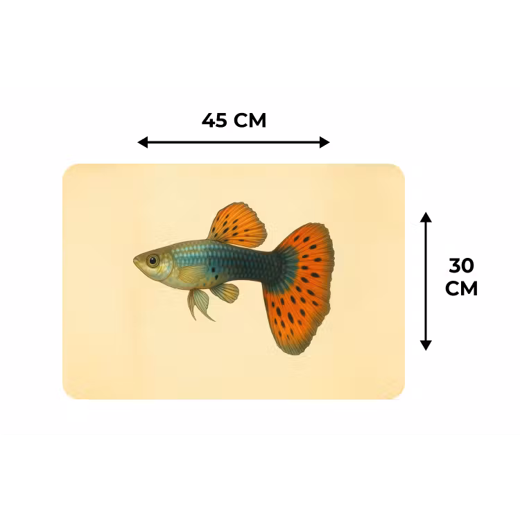 Placemat - 6 stuks - Vis - illustratie - Stippen - Oranje — 3