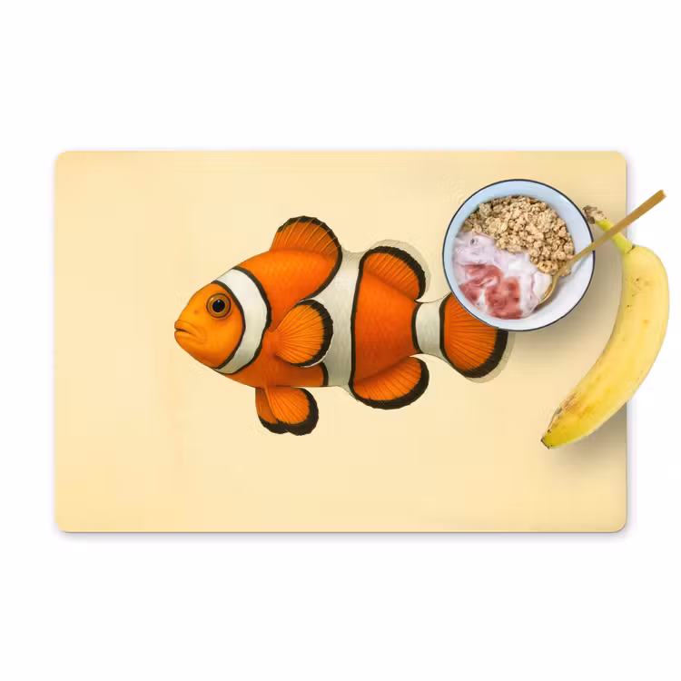 Placemat - 6 stuks - Vis - Oranje - Strepen — 1