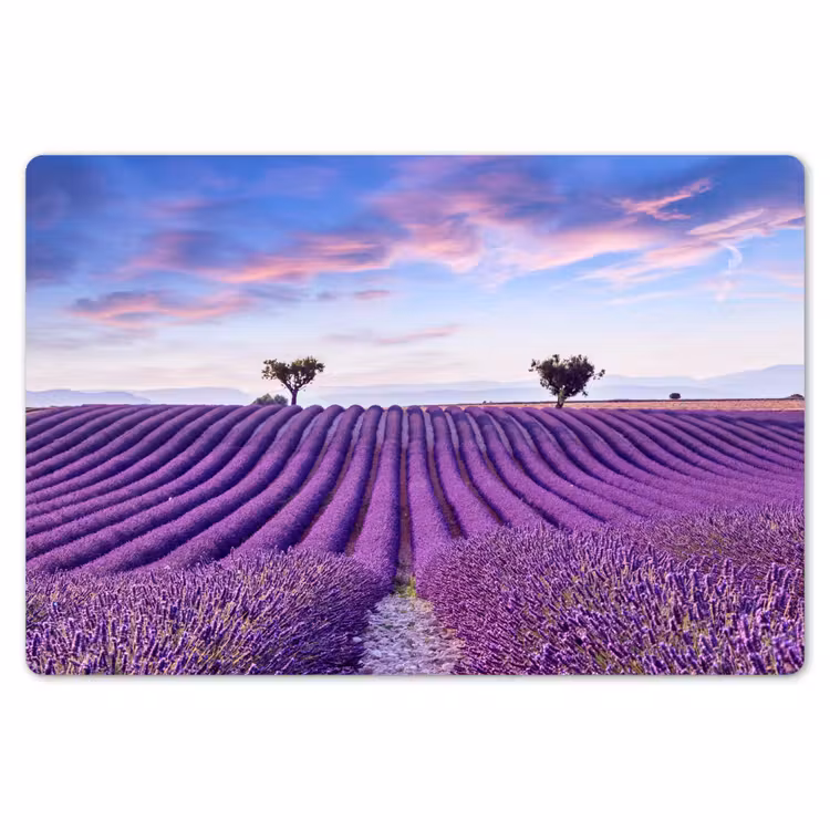 Placemat - 6 stuks - Lavendel - Natuur - Paars - Bomen - Bloemen — 6