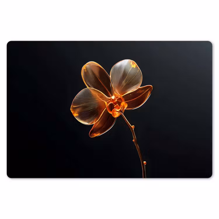 Placemat - 6 stuks - Orchidee - Doorzichtig - Bloem — 7
