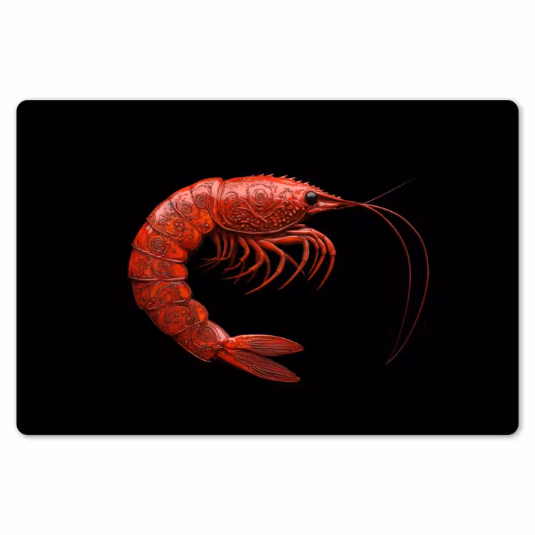 Placemat - 6 stuks - Garnaal - Rood - Dieren — 7