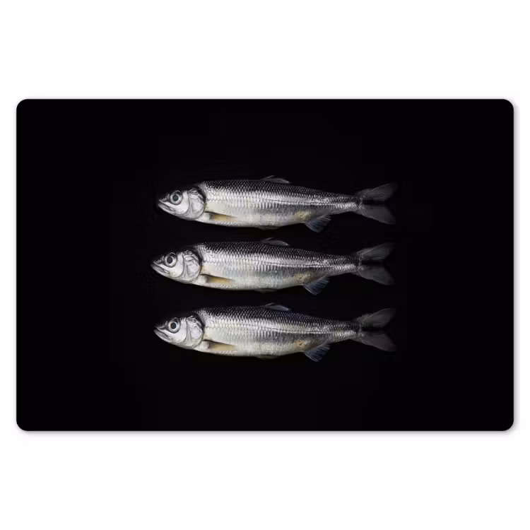 Placemat - 6 stuks - Haring - Vissen - Zwart — 7