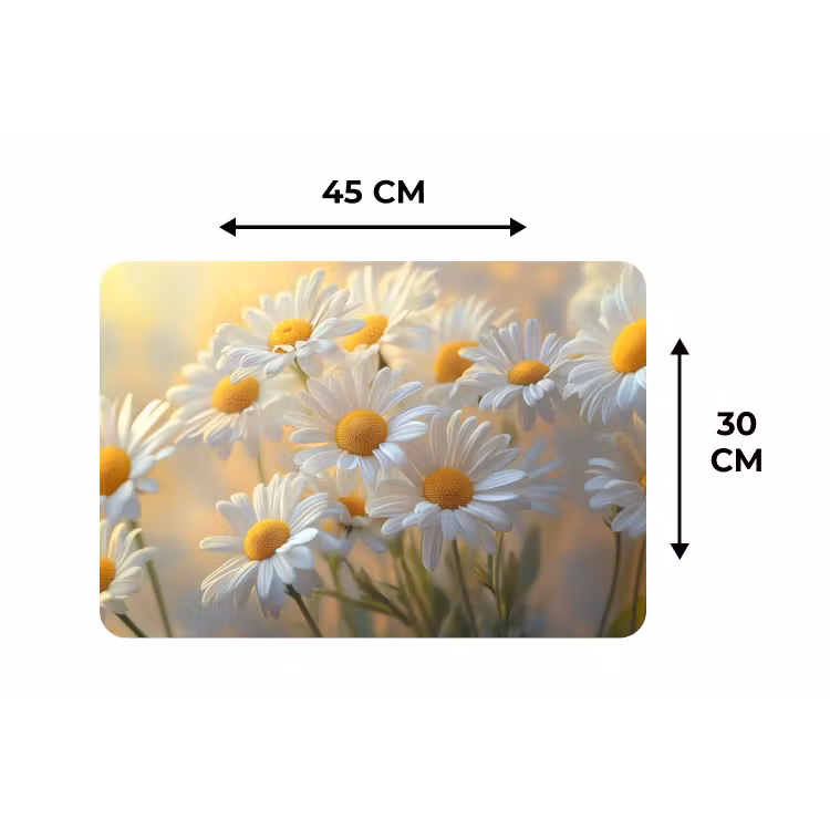 Placemat - 6 stuks - Madeliefjes - Wit - Zonlicht — 3