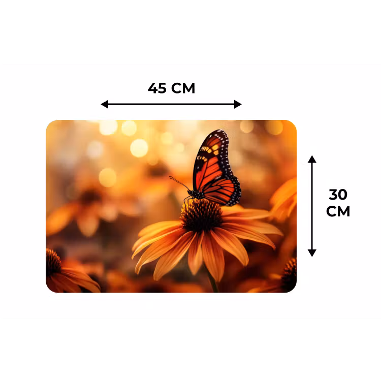 Placemat - 6 stuks - Vlinder - Bloemen - Oranje — 3