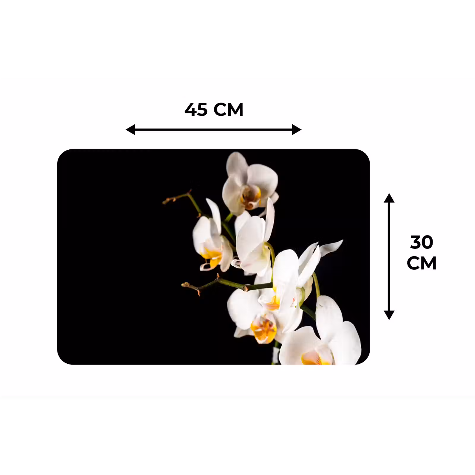 Placemat - 6 stuks - Orchidee - Bloemen - Planten - Botanisch — 1