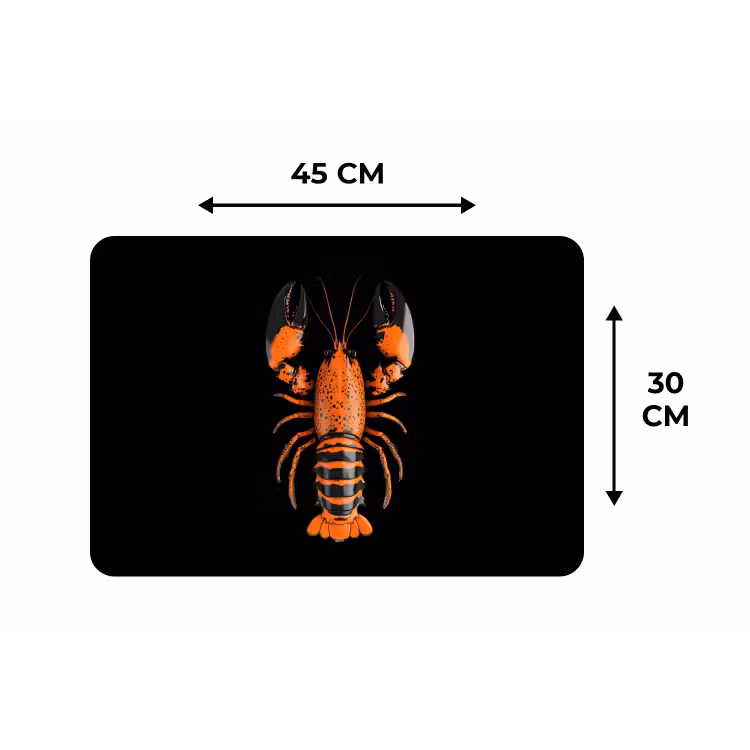 Placemat - 6 stuks - Kreeft - Oranje - Zwart - Modern — 3