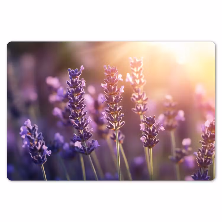 Placemat - 6 stuks - Lavendelbloemen - Paars - Zonlicht — 7