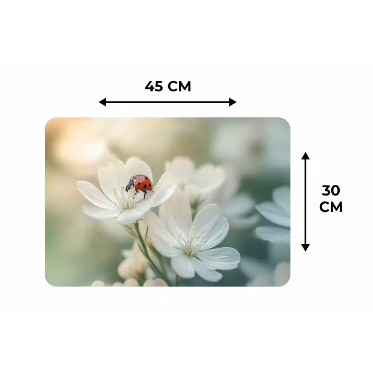 Placemat - 6 stuks - Lieveheersbeestje - Bloemen - Wit — 3
