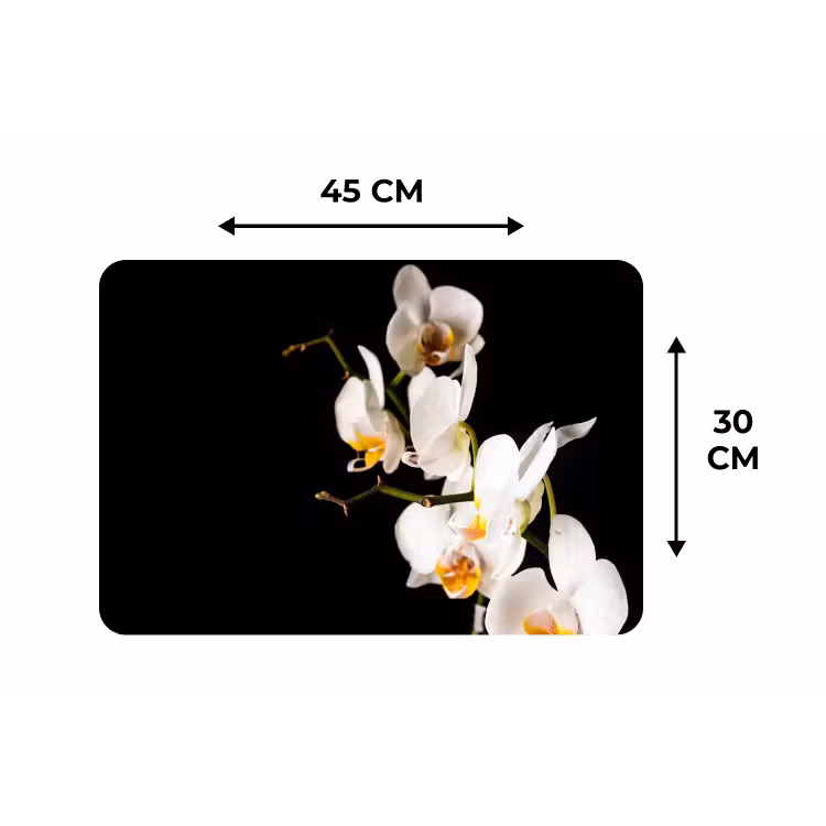 Placemat - 6 stuks - Orchidee - Bloemen - Planten - Botanisch — 1