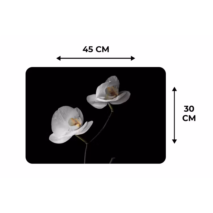 Placemat - 6 stuks - Orchidee - Bloemen - Zwart - Wit - Stilleven — 1