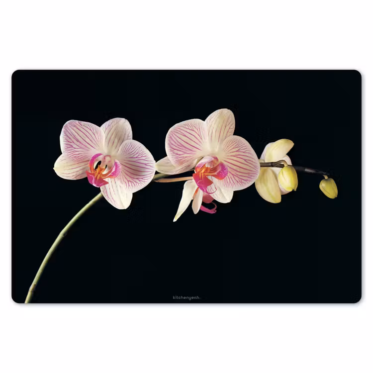 Placemat - 6 stuks - Orchidee - Roze - Bloemen — 7