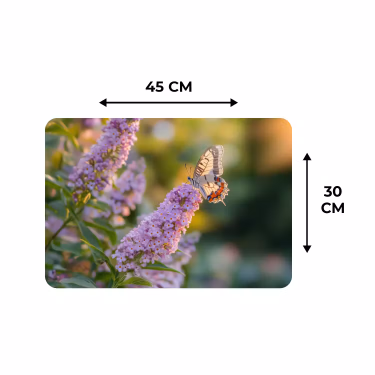 Placemat - 6 stuks - Sierlijke - Vlinder - Paarse - Bloemen — 3