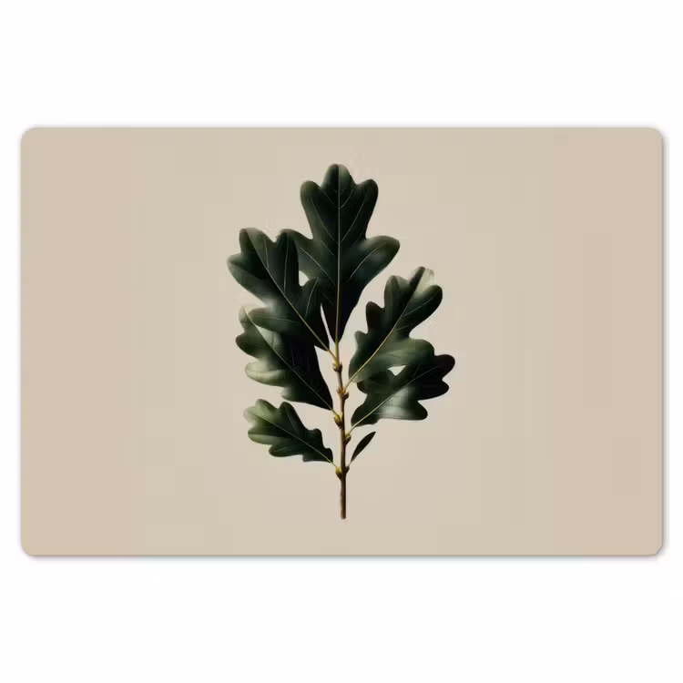 Placemat - 6 stuks - Eikenbladeren - Beige - Groen - Golvende randen — 7