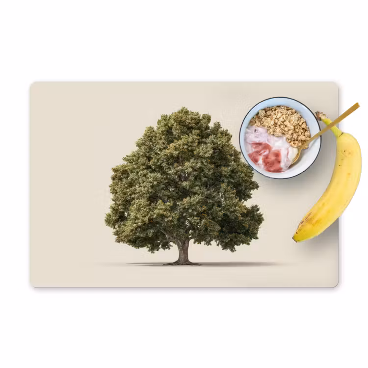 Placemat - 6 stuks - Eikenboom - Groen - Lichte achtergrond — 1