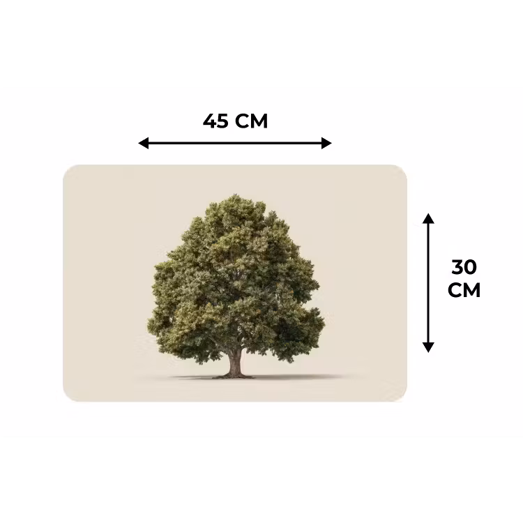 Placemat - 6 stuks - Eikenboom - Groen - Lichte achtergrond — 3