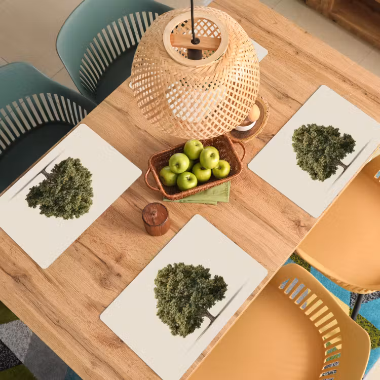 Placemat - 6 stuks - Eikenboom - Groen - Lichte achtergrond — 6