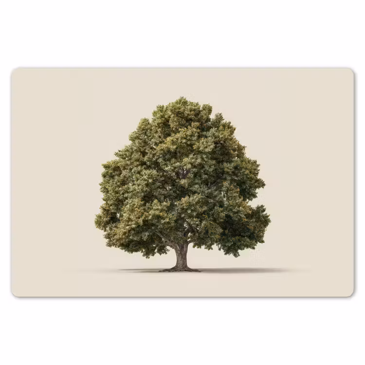 Placemat - 6 stuks - Eikenboom - Groen - Lichte achtergrond — 7
