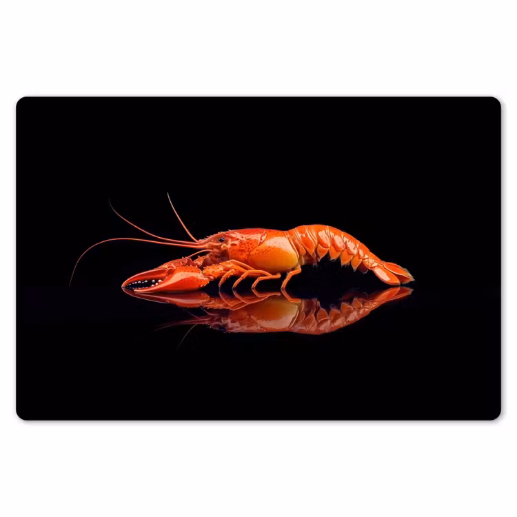 Placemat - 6 stuks - Kreeft - Oranje - Zwart - Opvallend — 7