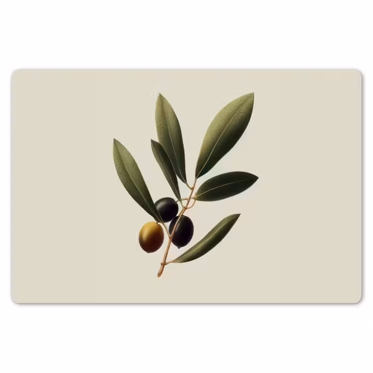 Placemat - 6 stuks - Olijftak - Donkergroen - Olijven — 7