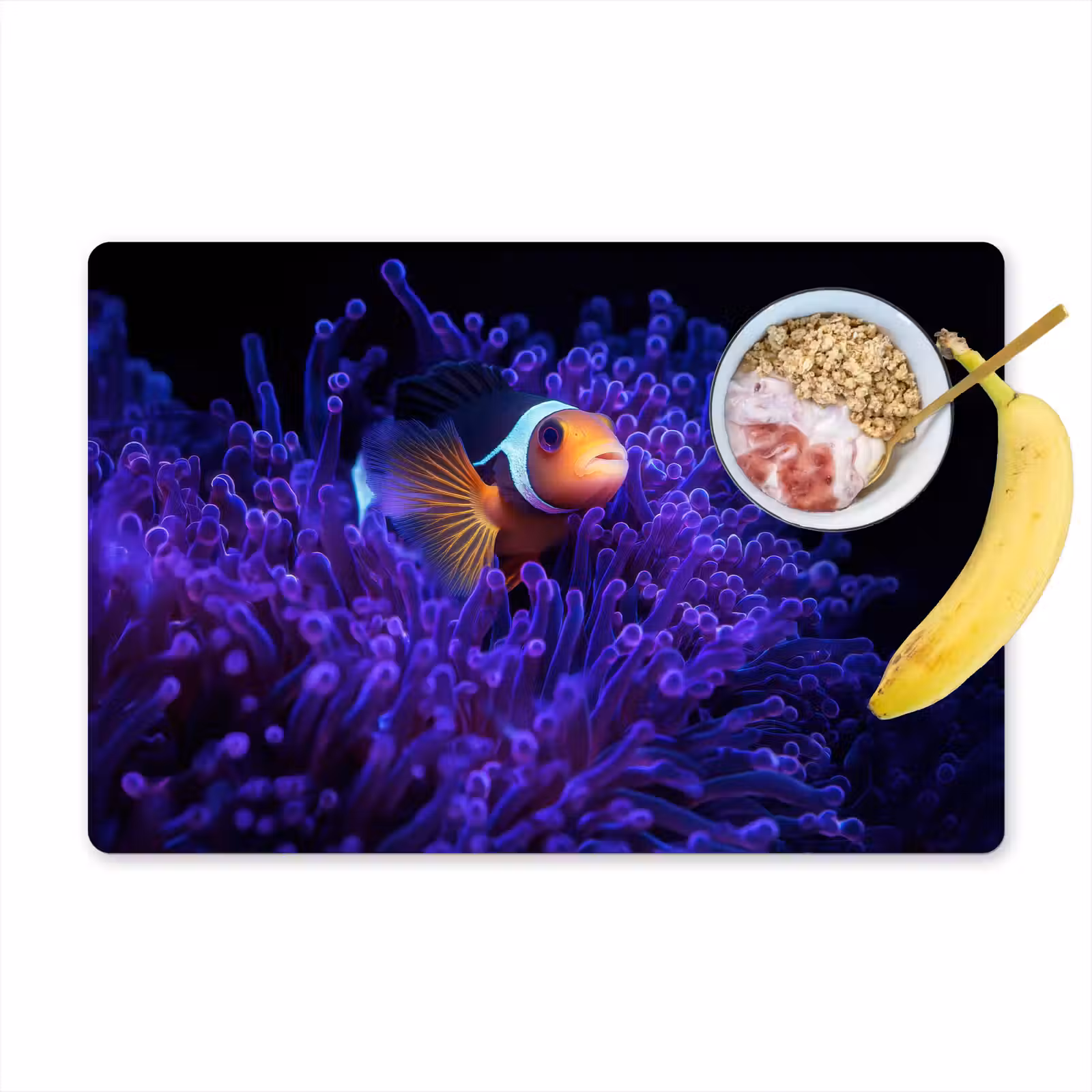Placemat - 6 stuks - Koraal - Vis - Oranje - Zee — 1