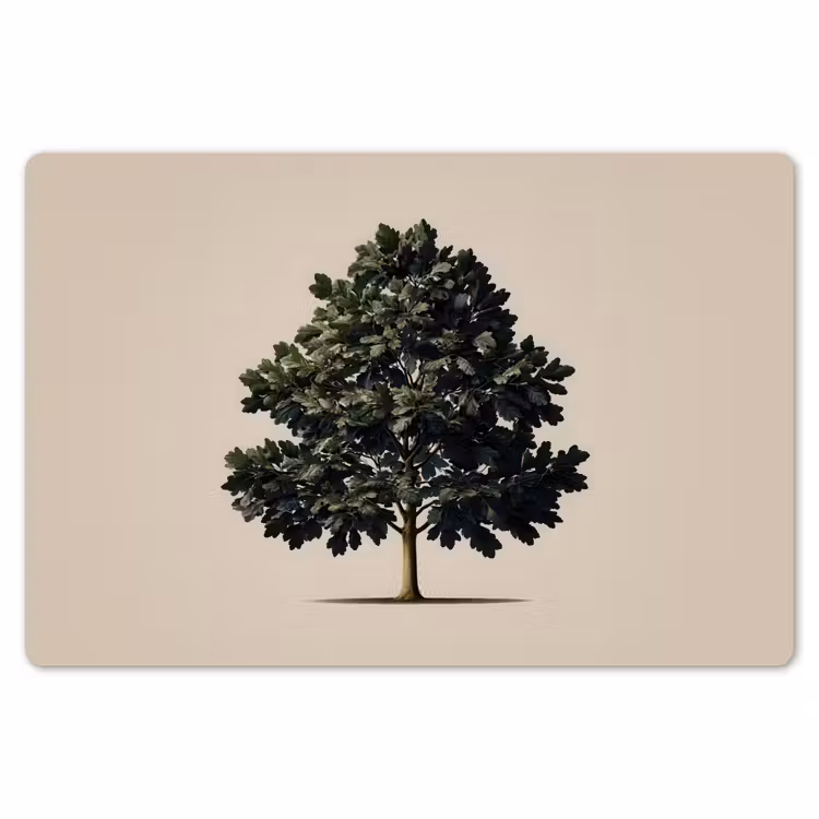 Placemat - 6 stuks - Eikenboom - Schaduw - Egaal — 7
