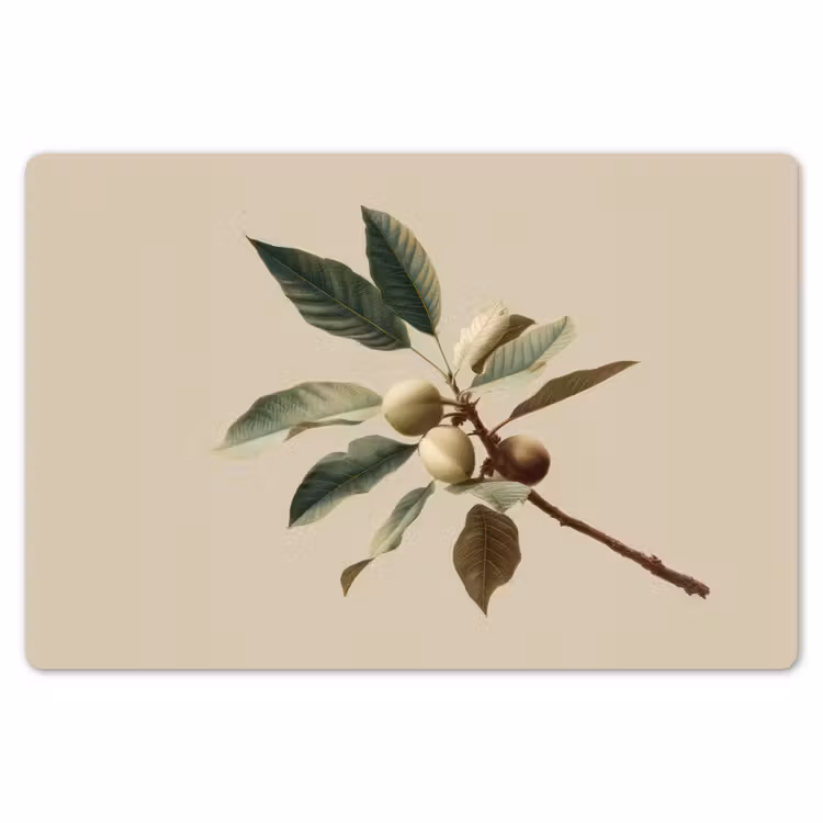 Placemat - 6 stuks - Tak - Groene Bladeren - Vruchten — 7