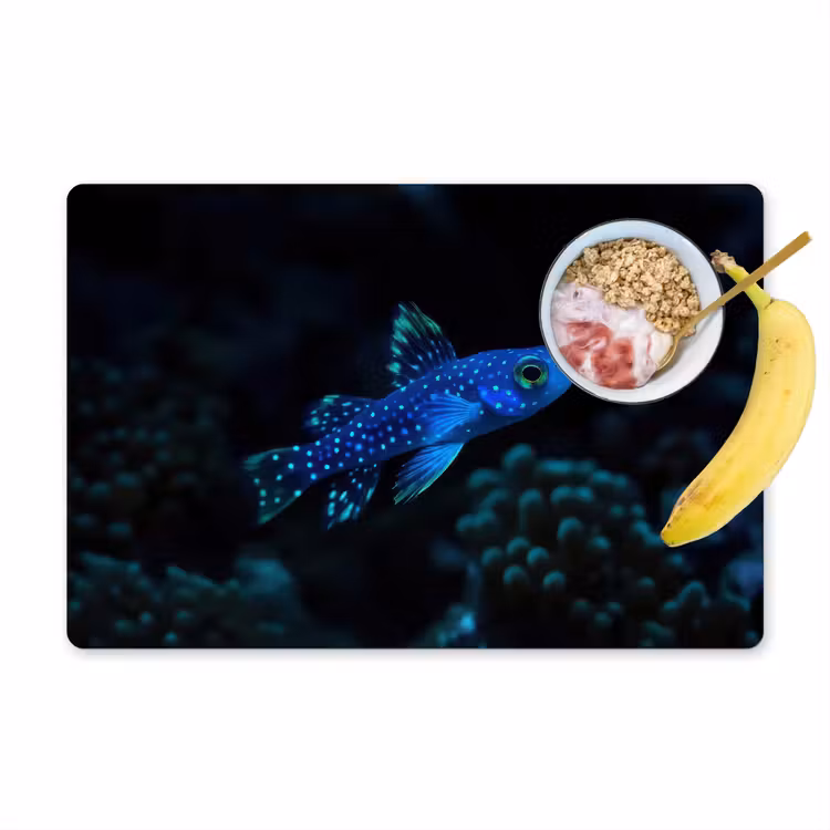 Placemat - 6 stuks - Vis - Stippen - Koraal - Blauw — 1