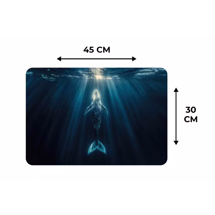 Placemat - 6 stuks - Walvis - Water - Zonnestralen - Blauw — 3