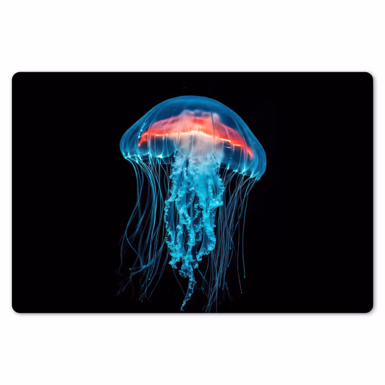 Placemat - 6 stuks - Kwal - Tentakels - Blauw - Licht — 7