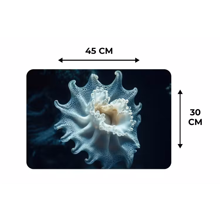 Placemat - 6 stuks - Zeewezen - Wit - Golven - Water — 3