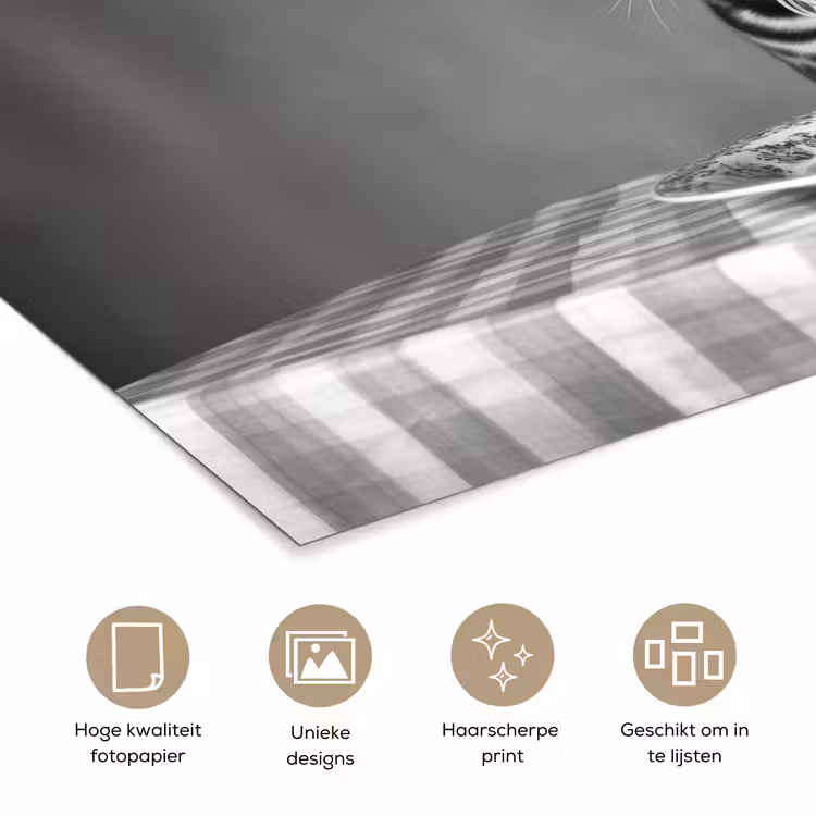 Poster - Bengaal - Kat - Tafelkleed - Zwart - Wit - Dier — 5