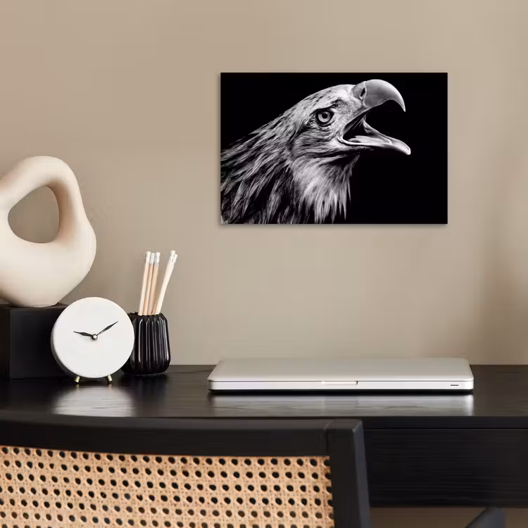 Poster - Adelaar - Portret - Roofvogels - Zwart - Wit - Vogel — 2