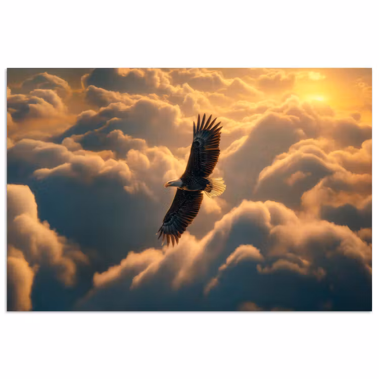 Poster - Adelaar - Wolken - Zon — 1