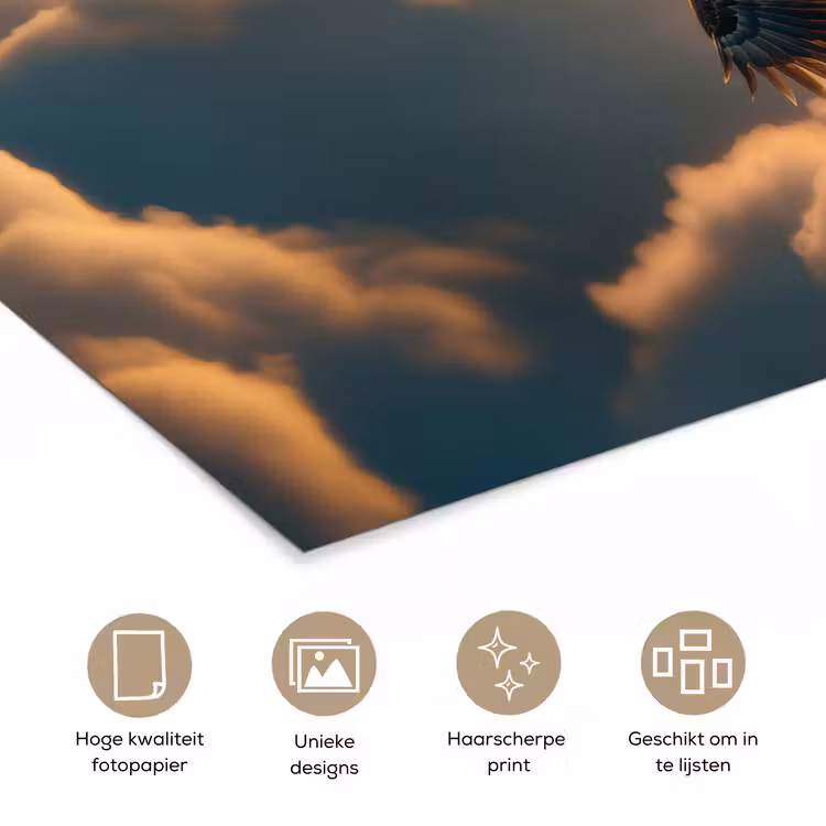 Poster - Adelaar - Wolken - Zon — 5