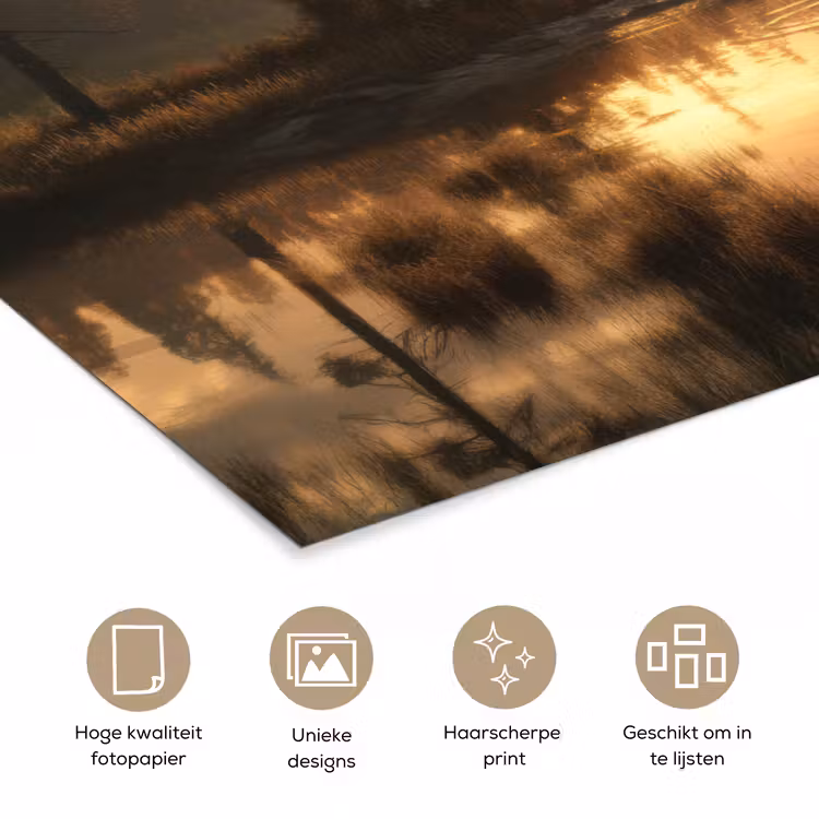 Poster - Beer - water - Bos - Ochtendlicht — 5