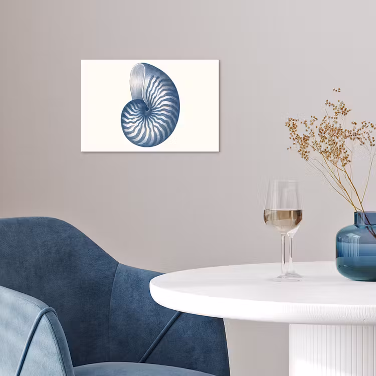 Poster - Blauw - Schelp - Spiraal — 4