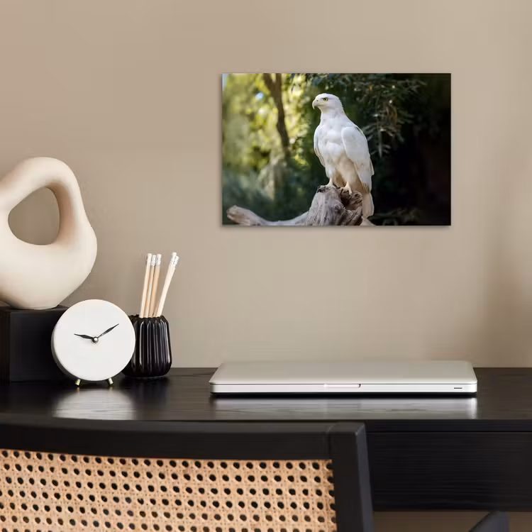 Poster - Arend - Hout - Wit - Planten — 2