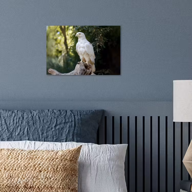 Poster - Arend - Hout - Wit - Planten — 3