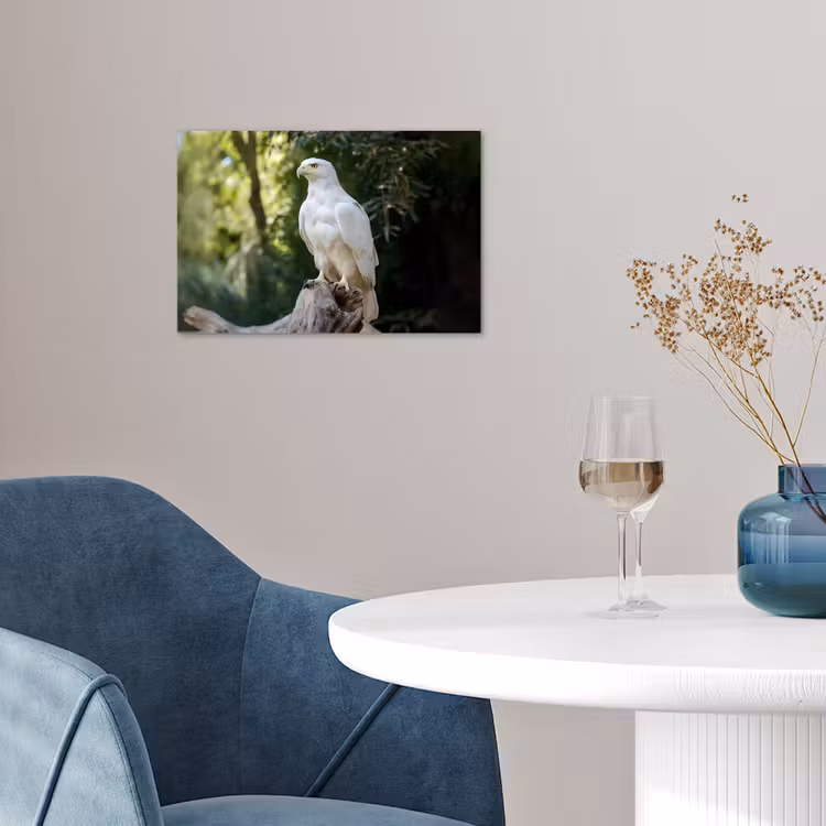 Poster - Arend - Hout - Wit - Planten — 4
