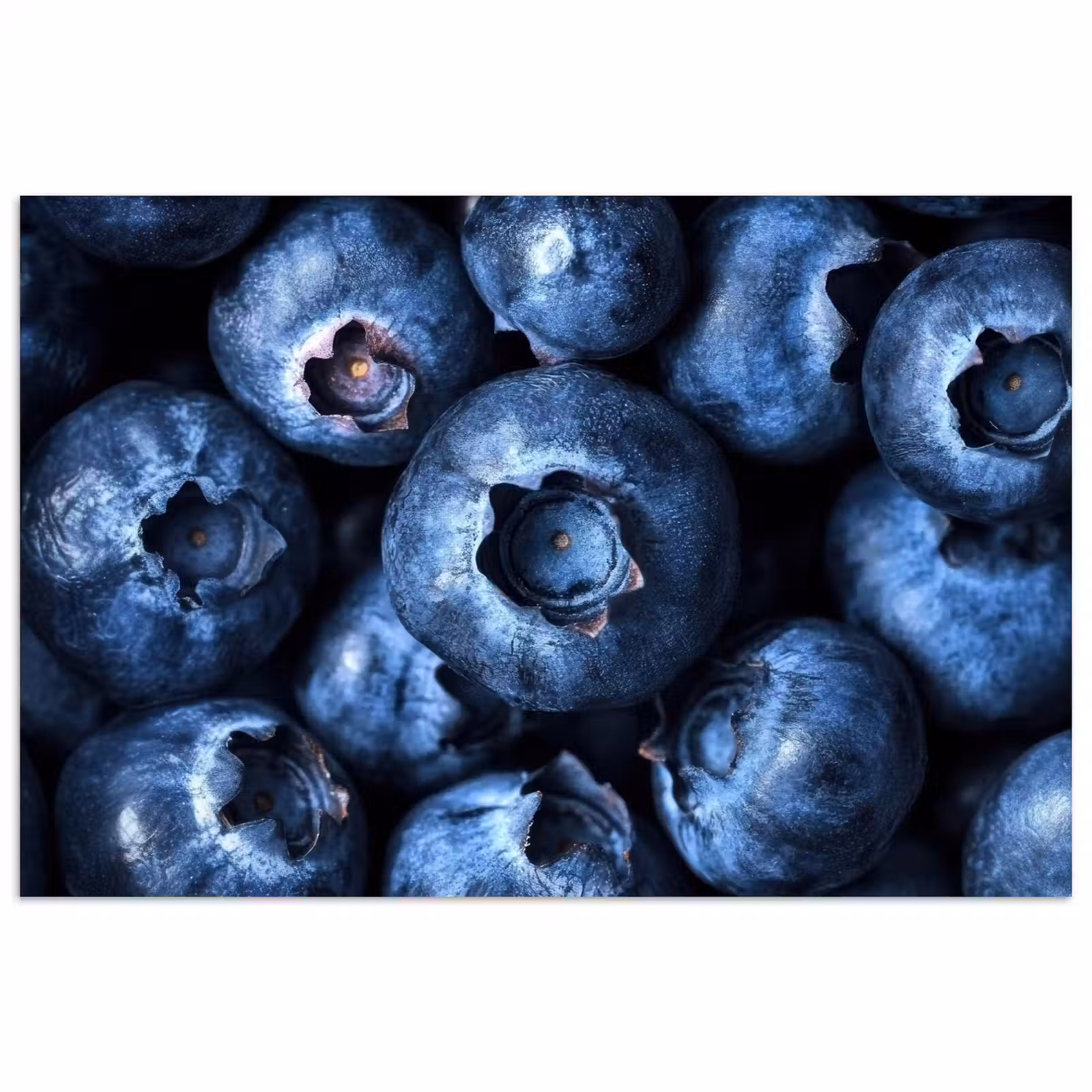 Poster - Bessen - Blauw - Fruit — 1