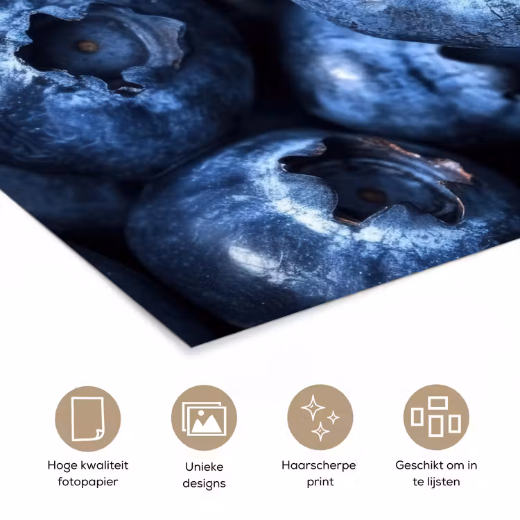 Poster - Bessen - Blauw - Fruit — 5