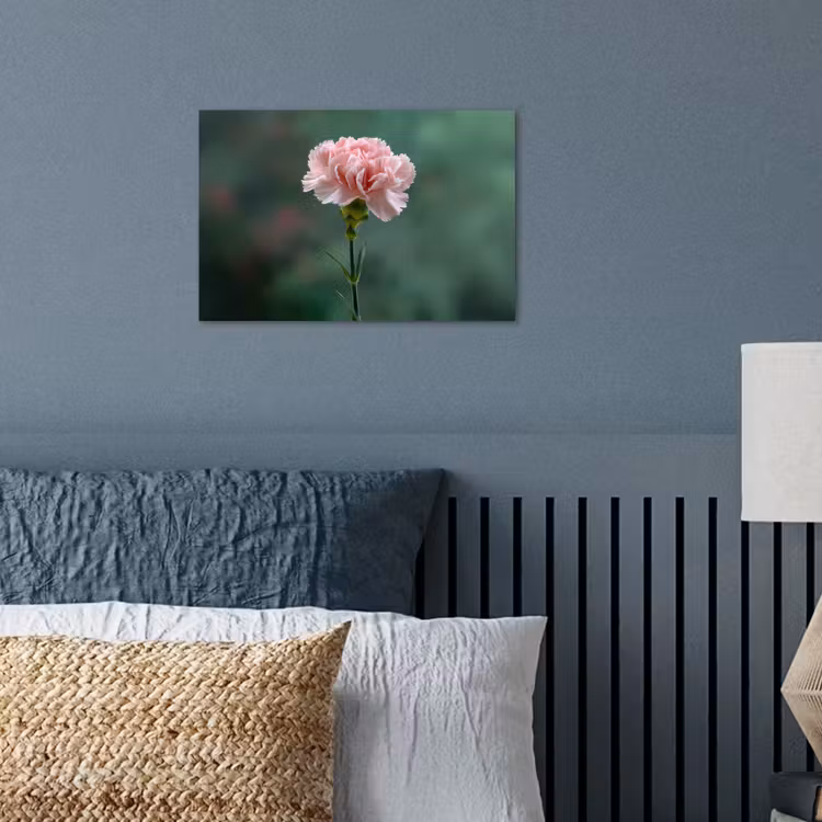 Poster - Anjer - Roze - Bloemblaadjes — 3