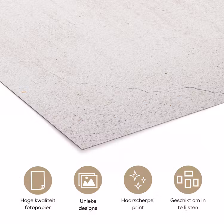 Poster - Beton - Muur - Wit — 5