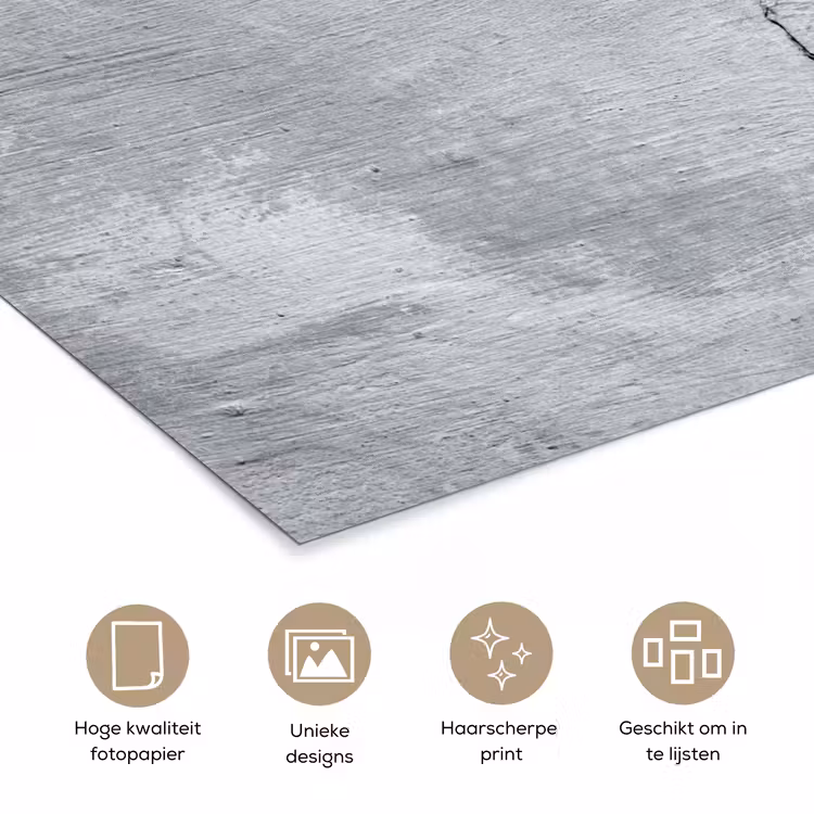 Poster - Beton - Scheur - Grijs — 5