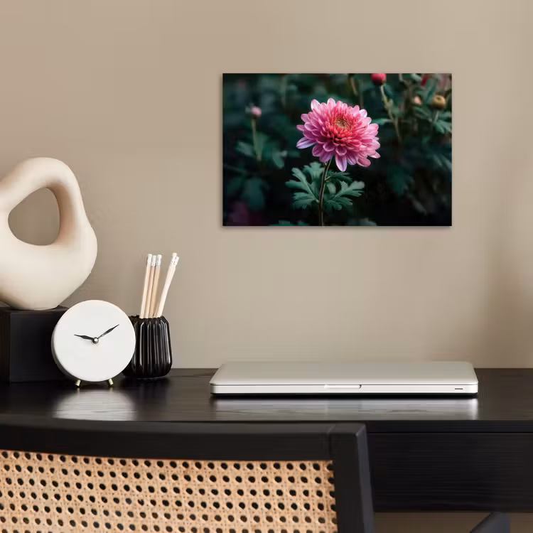 Poster - Blad - Chrysant - Roze - Schaduw — 2