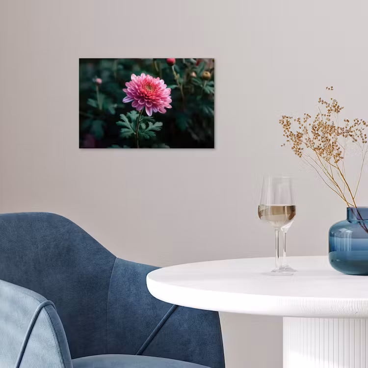 Poster - Blad - Chrysant - Roze - Schaduw — 4