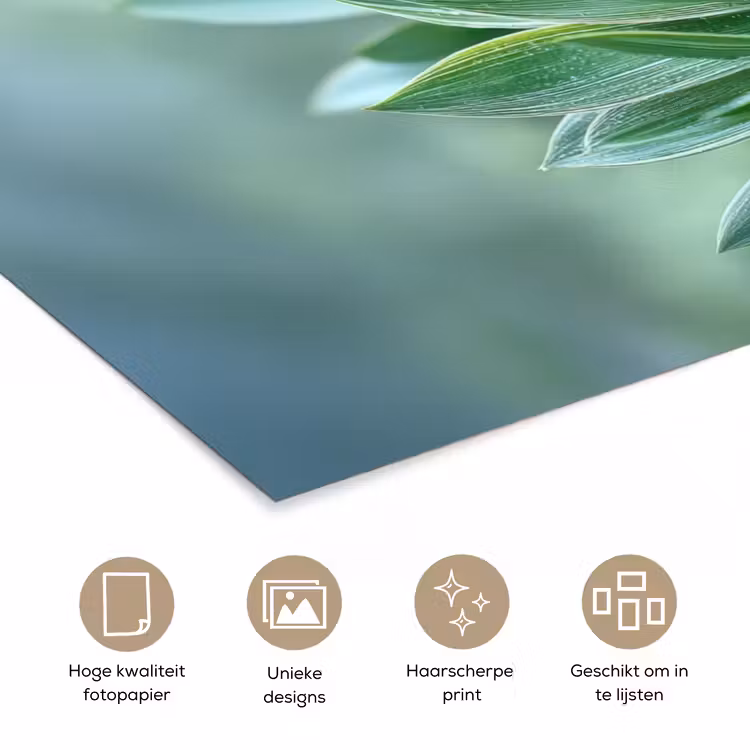 Poster - Blad - Plant - Groen - Textuur — 5