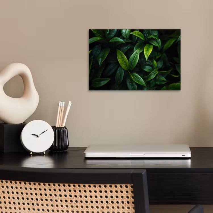Poster - Bladeren - Regendruppels - Licht - Groen — 2